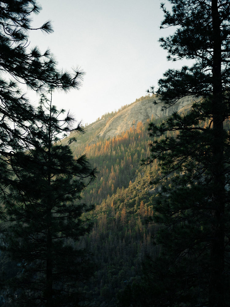How to Build a More Sustainable Wellness Routine
