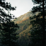 How to Build a More Sustainable Wellness Routine