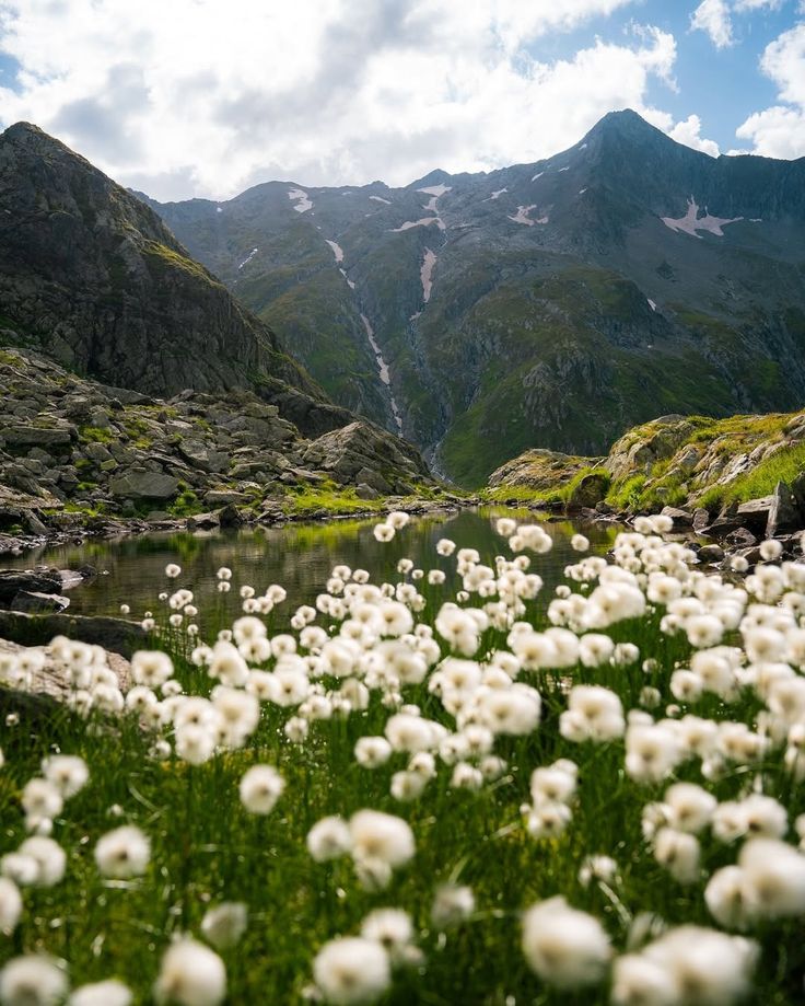 Celebrate Earth Month: How Sustainable Hydration Supports the Planet