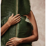 What is Plant-Based Plastic?