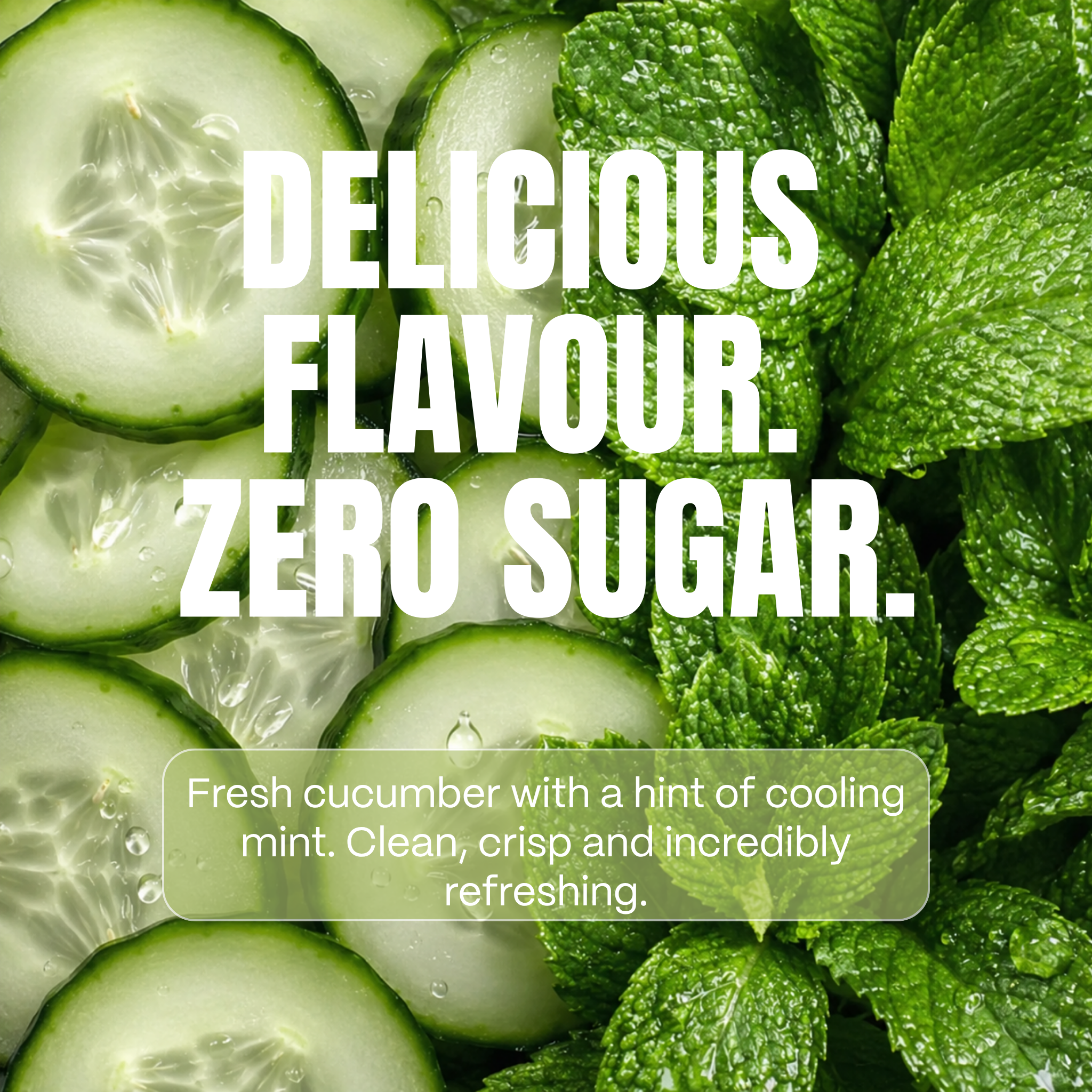 12 pack of 500ml  - Cucumber + Mint