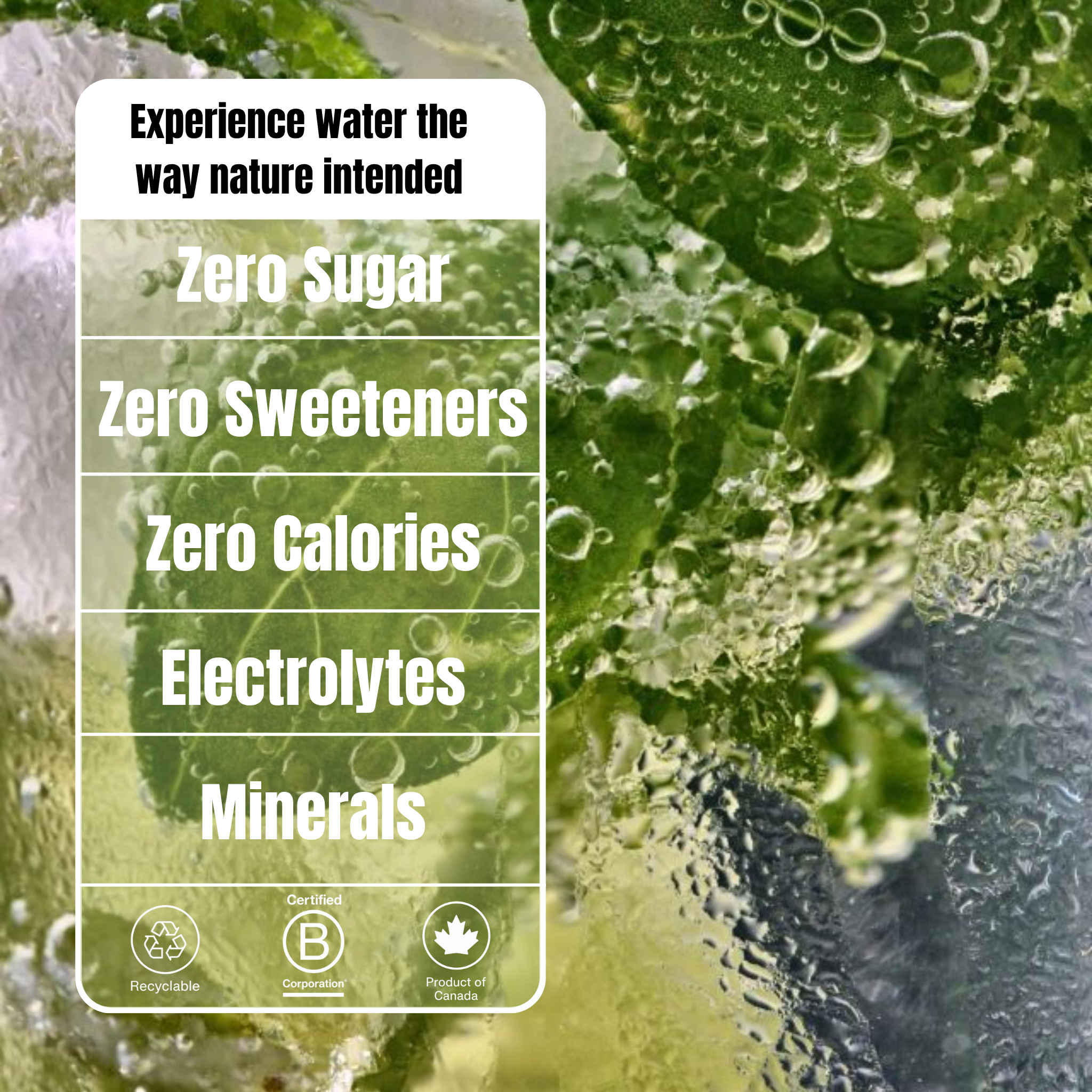 12 pack of 500ml  - Cucumber + Mint