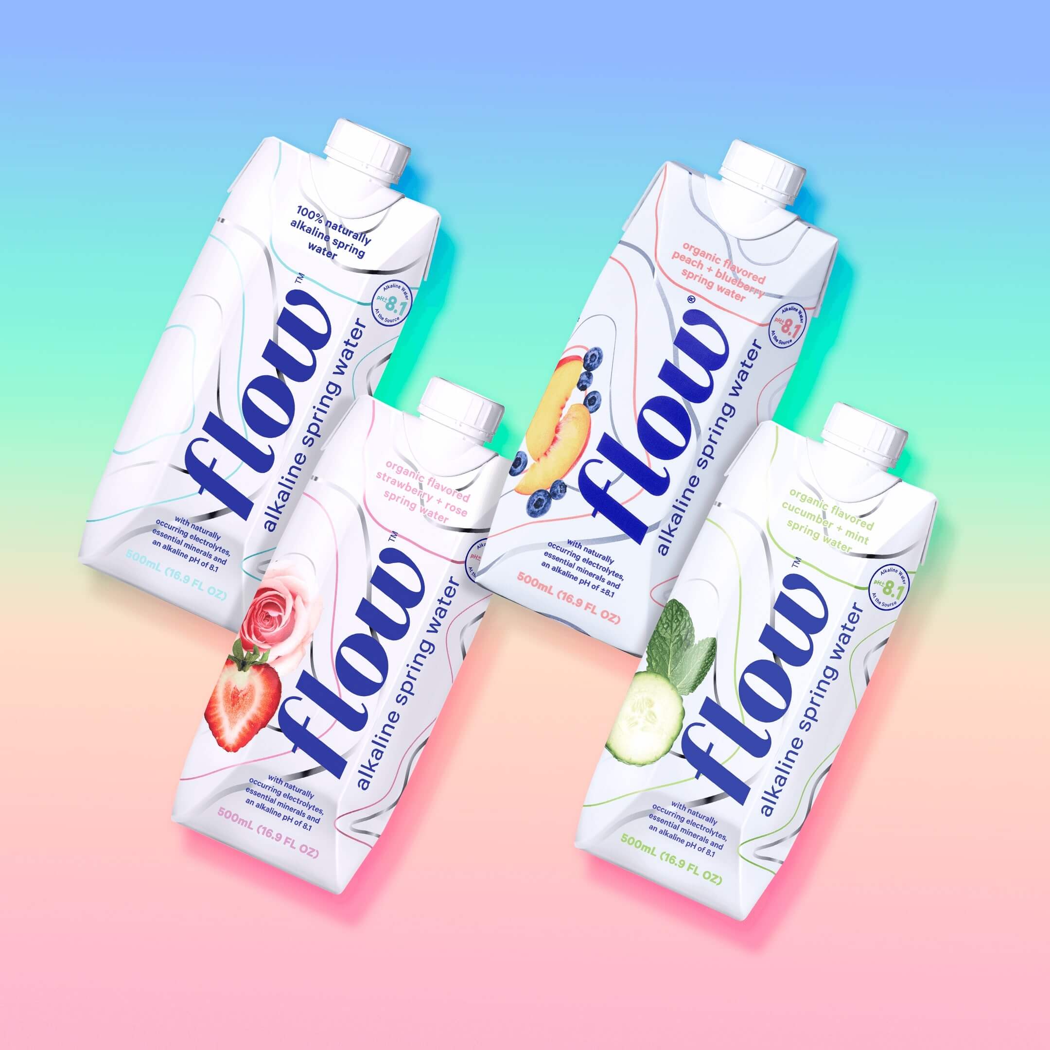 12 pack of 500ml - Favourites Variety Case